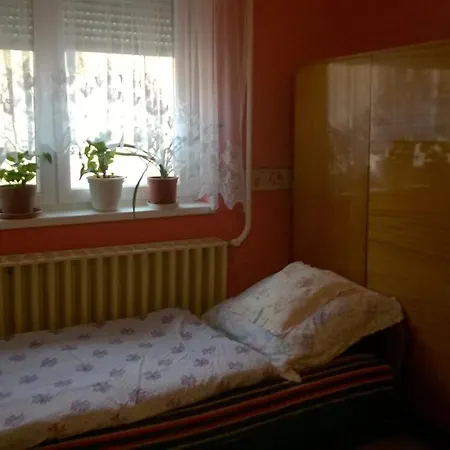 Kiskozi Vendeghaz Guest house Demjen